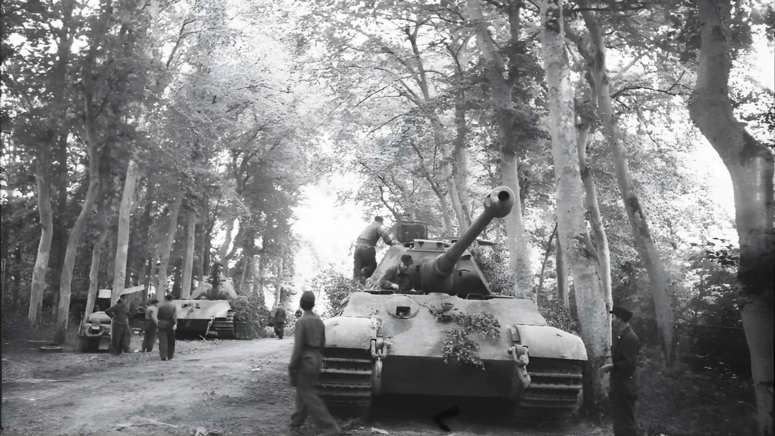 Carro armato Panzer VI “Tiger II” (Königstiger), parco del castello di Canteloup Carro armato Panzer VI “Tiger II” (Königstiger), parco del castello di Canteloup